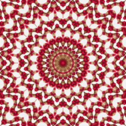 0004 uai