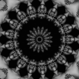 0009 uai