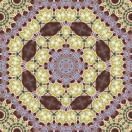 0010 uai